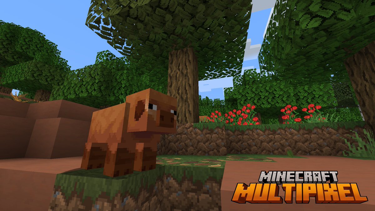 MultiPixelHD's tweet image. The new pigs!