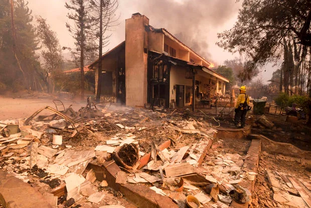 THE WOLF OF TASI ™ tweet media