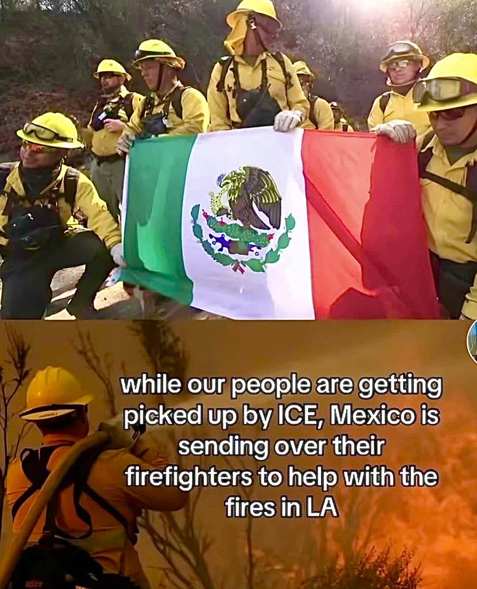 I’ll take 1 Mexican firefighter over a thousand useless MAGA white men any day of the week. 

How about you?