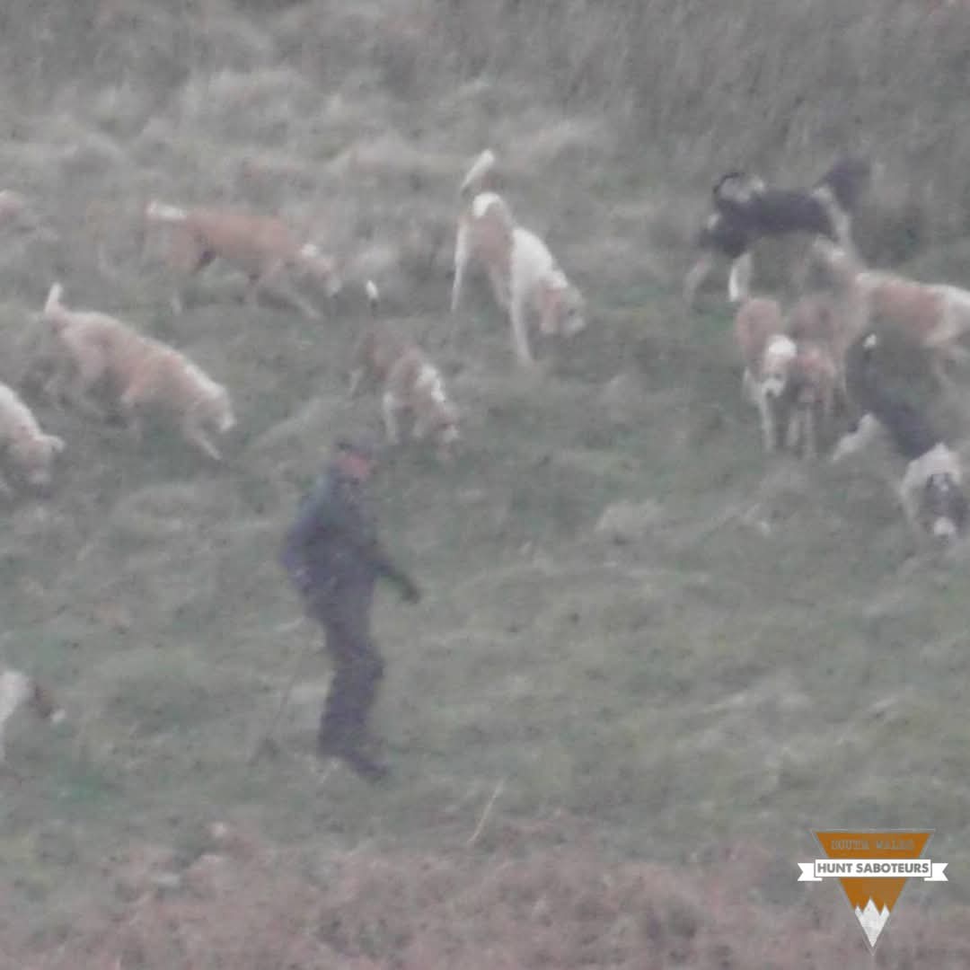 Silly Philly Tries to Trick Sabs

Sennybridge Farmers Hunt – 04.01.25

Huntsman Phil Watts drove out of the kennels that morning towing an empty hound trailer...

Full report here: facebook.com/share/p/15BE3y…