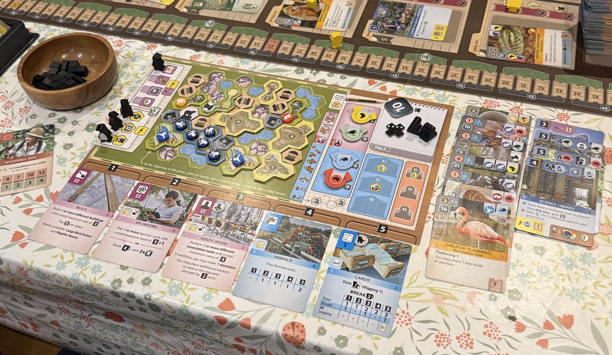 Ark Nova. My losing zoo :-(