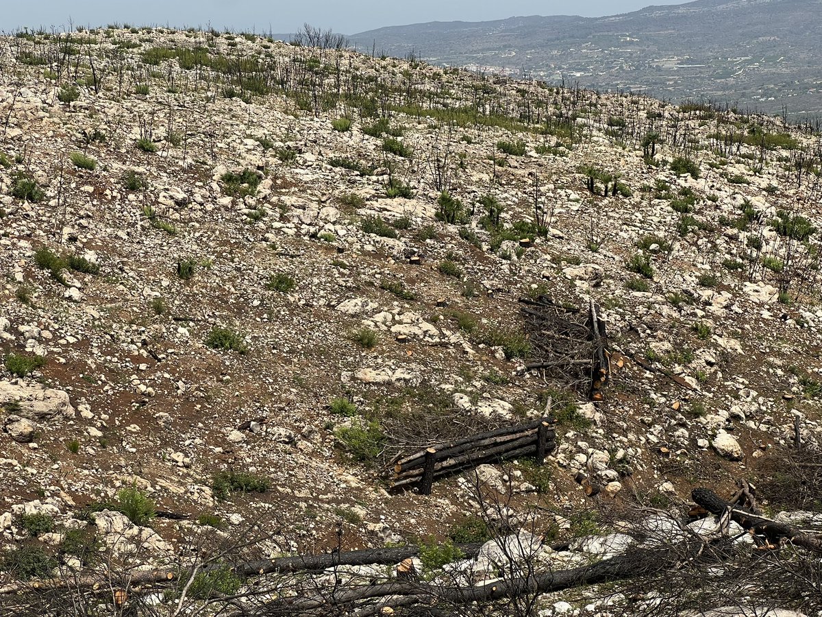 Artemi Cerdà (@artemiocerda) on Twitter photo Effects of rock fragment cover on soil infiltration, interrill runoff and erosion
Artemi Cerdà
doi.org/10.1046/j.1365…
bsssjournals.onlinelibrary.wiley.com/doi/abs/10.104… Effects of rock fragment cover on soil infiltration, interrill runoff and erosion
Artemi Cerdà
doi.org/10.1046/j.1365…
bsssjournals.onlinelibrary.wiley.com/doi/abs/10.104…