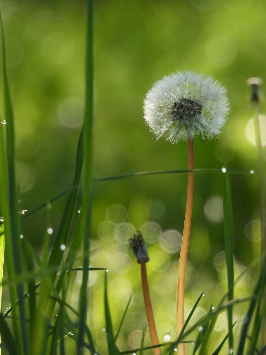 Throjaphoto's tweet image. 2025 in 12 Bildern
1/3
Januar / Februar
März / April
#photography #Bavaria #Germany
