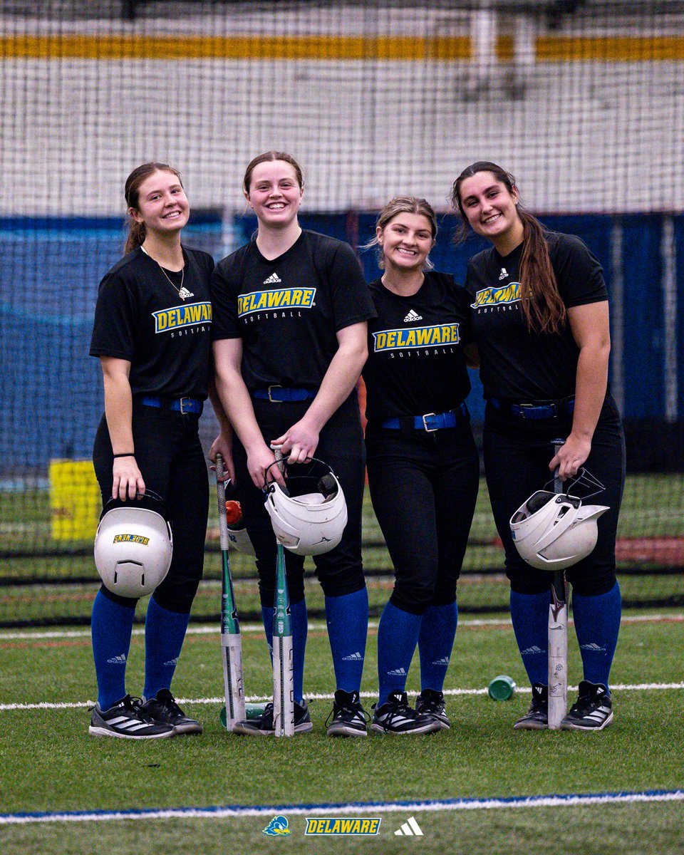 Delaware Softball tweet media