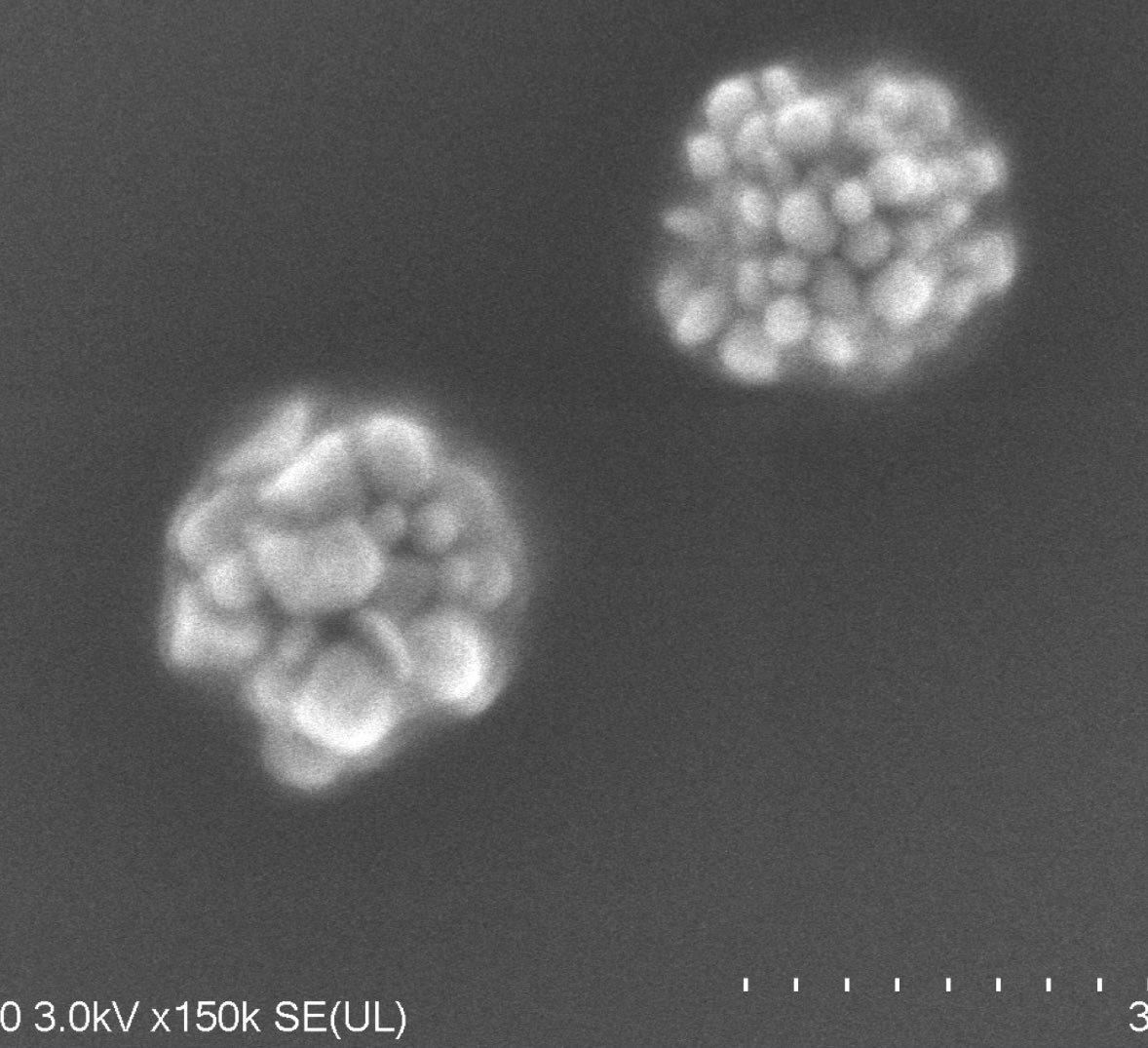 First time making nanoparticles this week. Have wanted to do this for a while, cool to see them work out on the first try