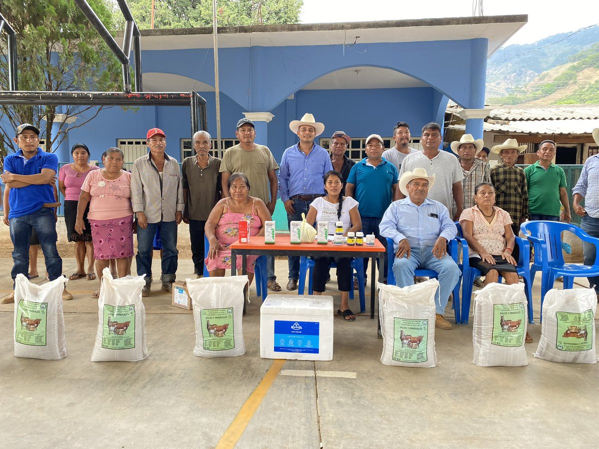 Antonio mondragon tweet media