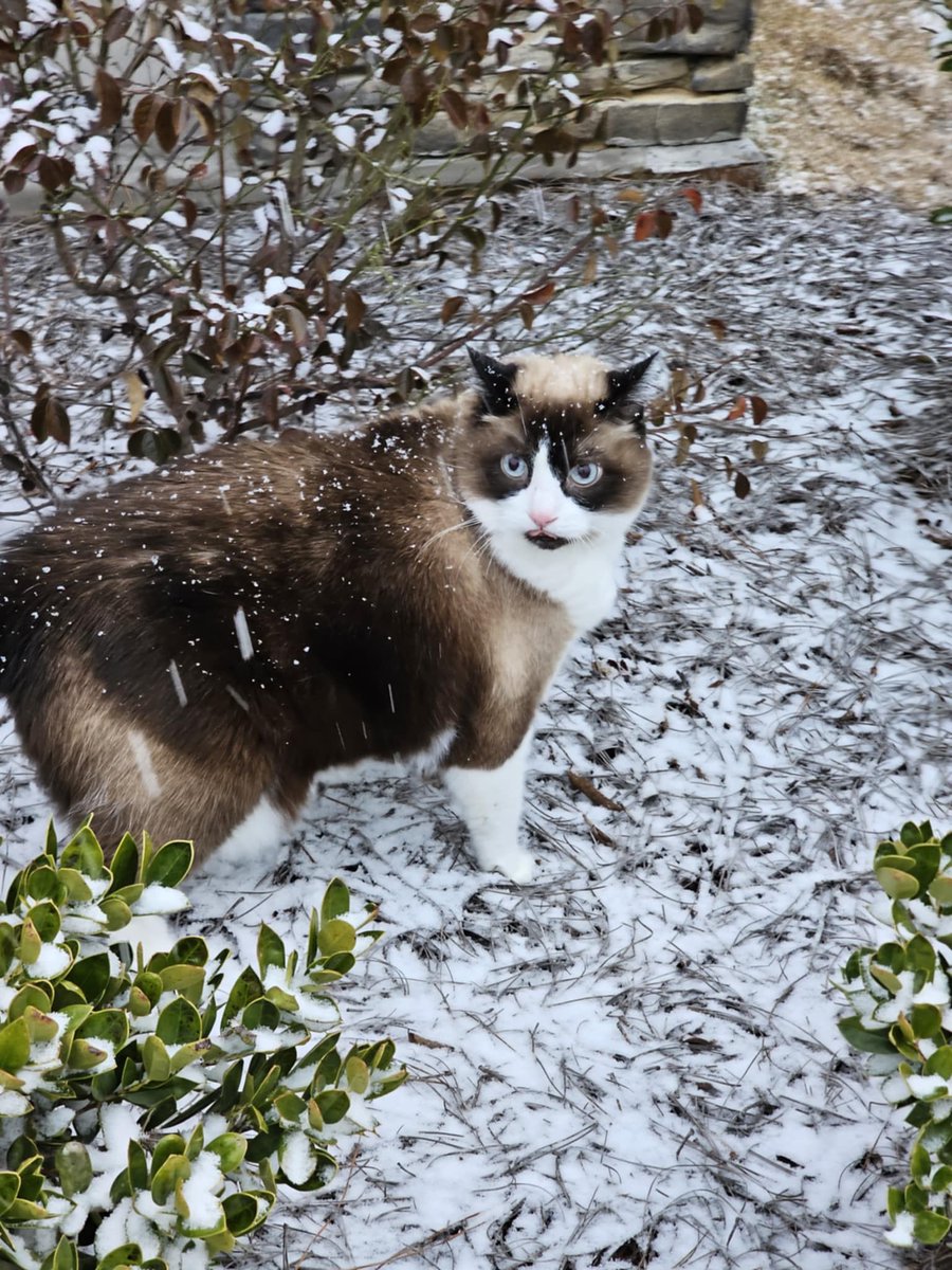 William Blake!?! tweet media