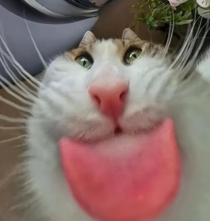 Me consuming my friends OCs