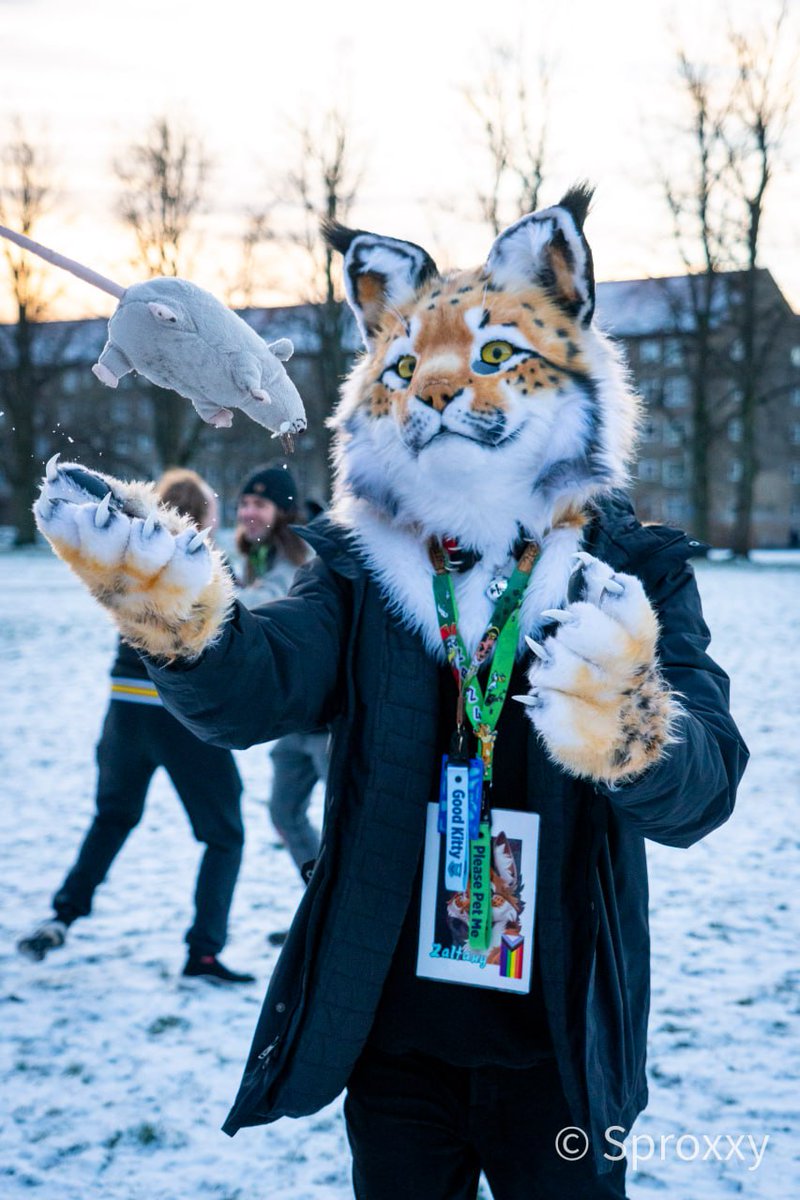 Did you know the rats in Copenhagen can fly ! 

#FursuitFriday 
📷 <a href="/SproxxyHusky/">🏳️‍🌈🇩🇰Sproxxy Husky 🔜 NFC</a>
