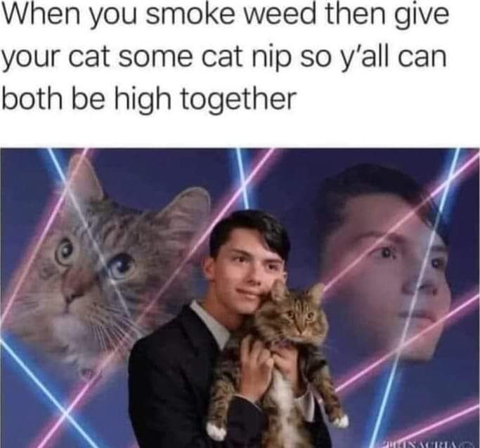 Stoner Jesus™ (@stonerjesus420) on Twitter photo 