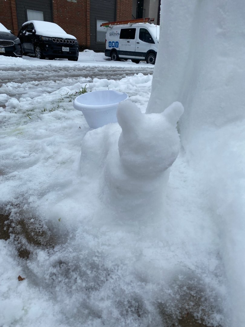 Hey <a href="/wfaa/">WFAA</a> check out these snow people  &amp; cat from Denton. Please pass on to Delkus <a href="/wfaaweather/">Pete Delkus</a> 

Artists: Kylee Seals &amp; Nathan Nolan