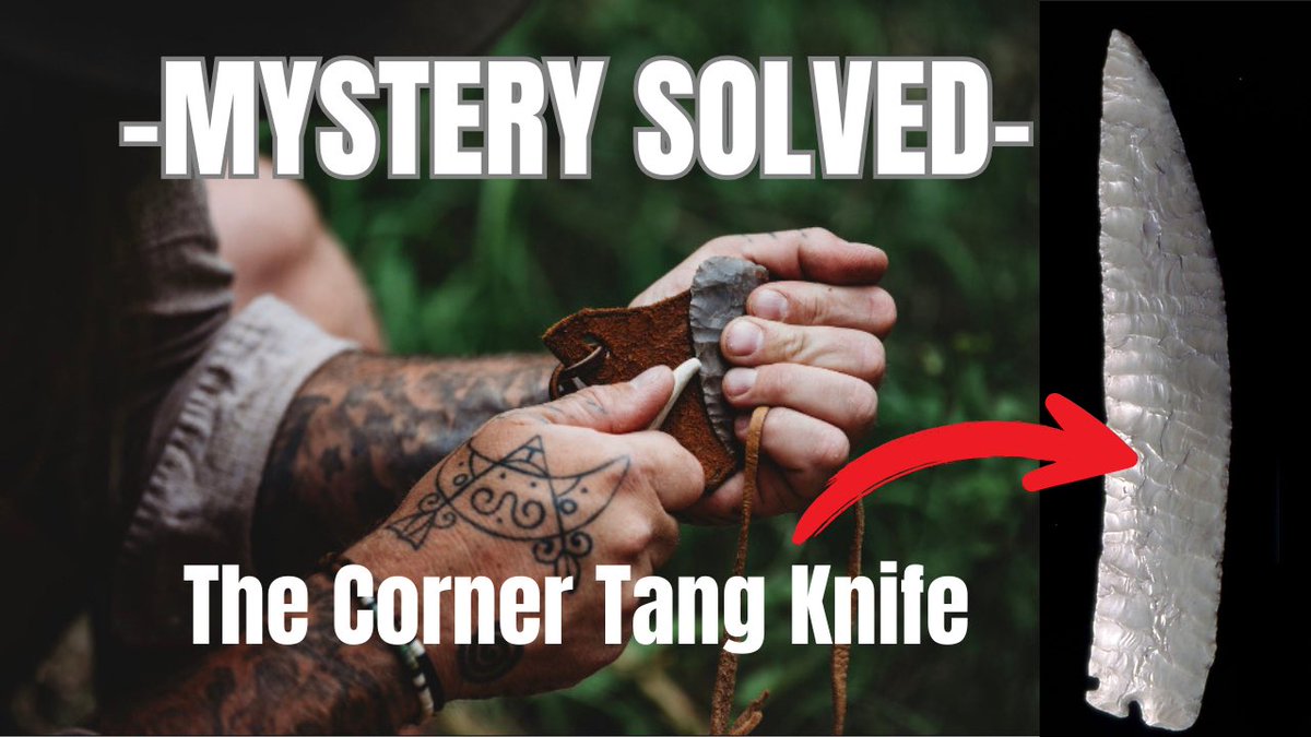 DonnyDust tweet media