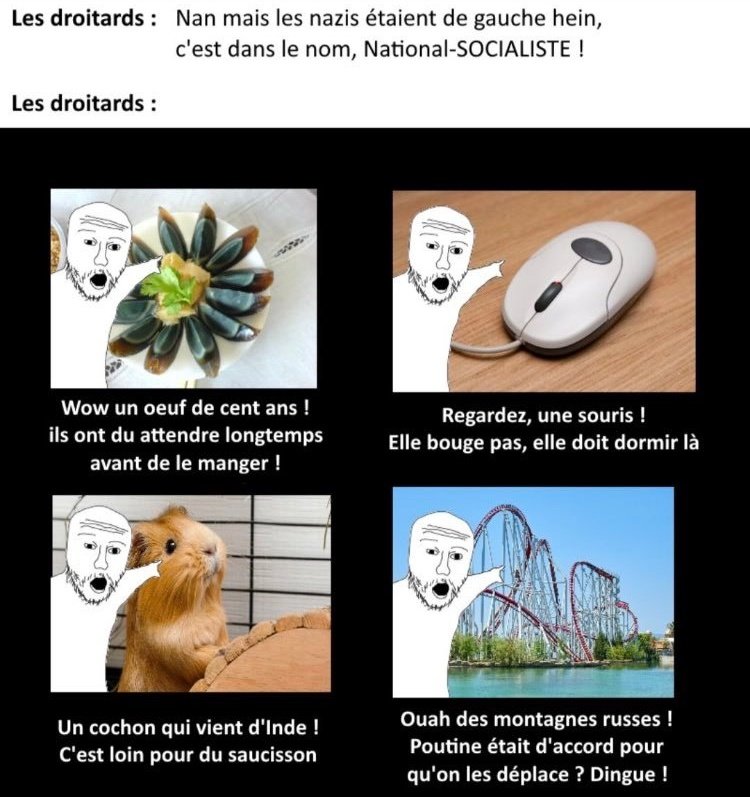 LoganCapit24473's tweet image. C'est littéralement ça...