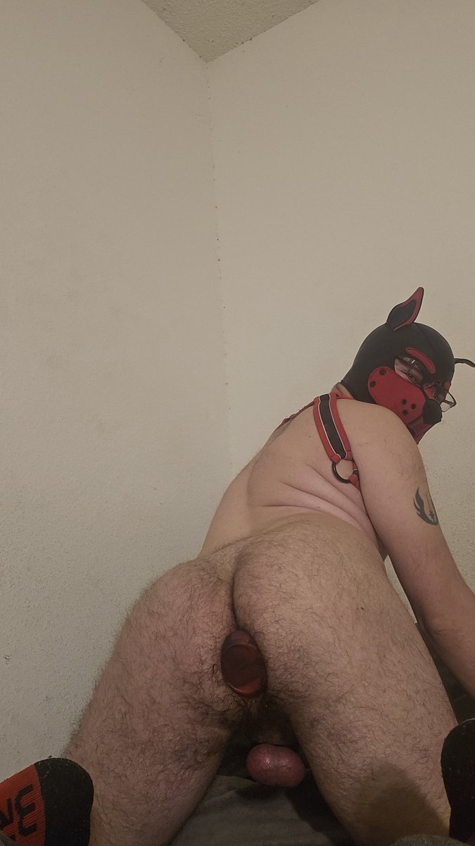 This plug will have to do until I can get a real man to stretch my fag pussy
#faglife #lockedfag #fagpup #teamlocked #redpill