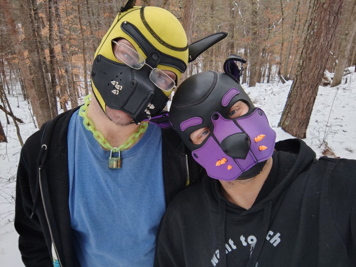 PubbyHank's tweet photo. Pubbies went out to explore in the snow-frosted forest :3  our first snow day together was such a fun day 💜💛

I love this pupper so much 🥰🐶 https://t.co/13WNOqrVGG