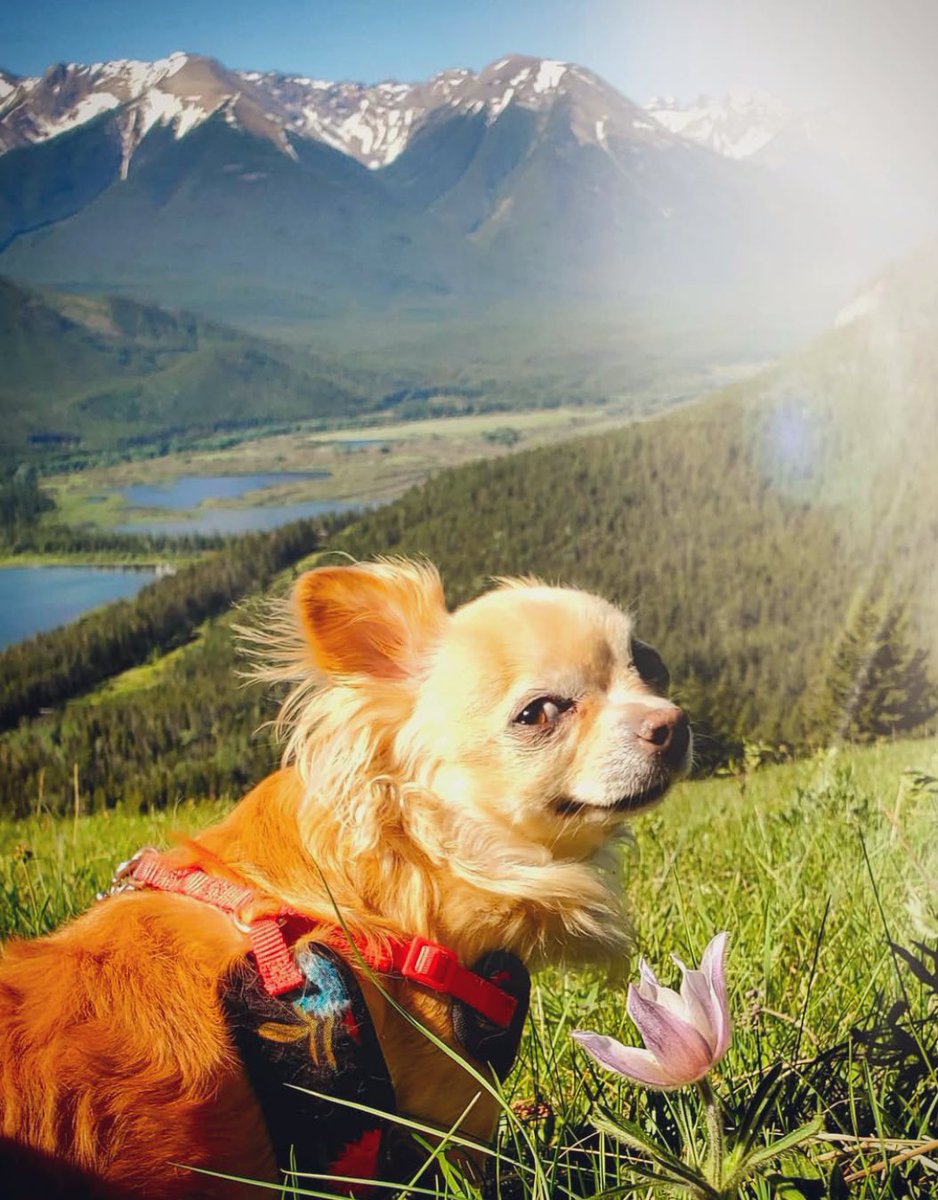 Fernie Mariam tweet media