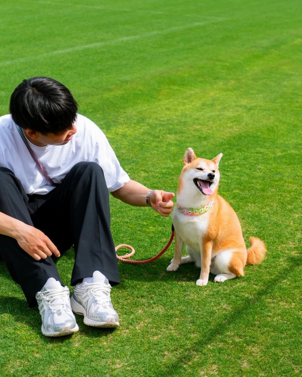 清水エスパルスの蓮川壮大です！
この大好きなチームで来季もプレーできることをとても嬉しく思います！
僕の応援はもちろん、茶々も可愛がってあげてください🐕
これからよろしくお願いします！
＠spulse_official 

#清水エスパルス
#newbalance
