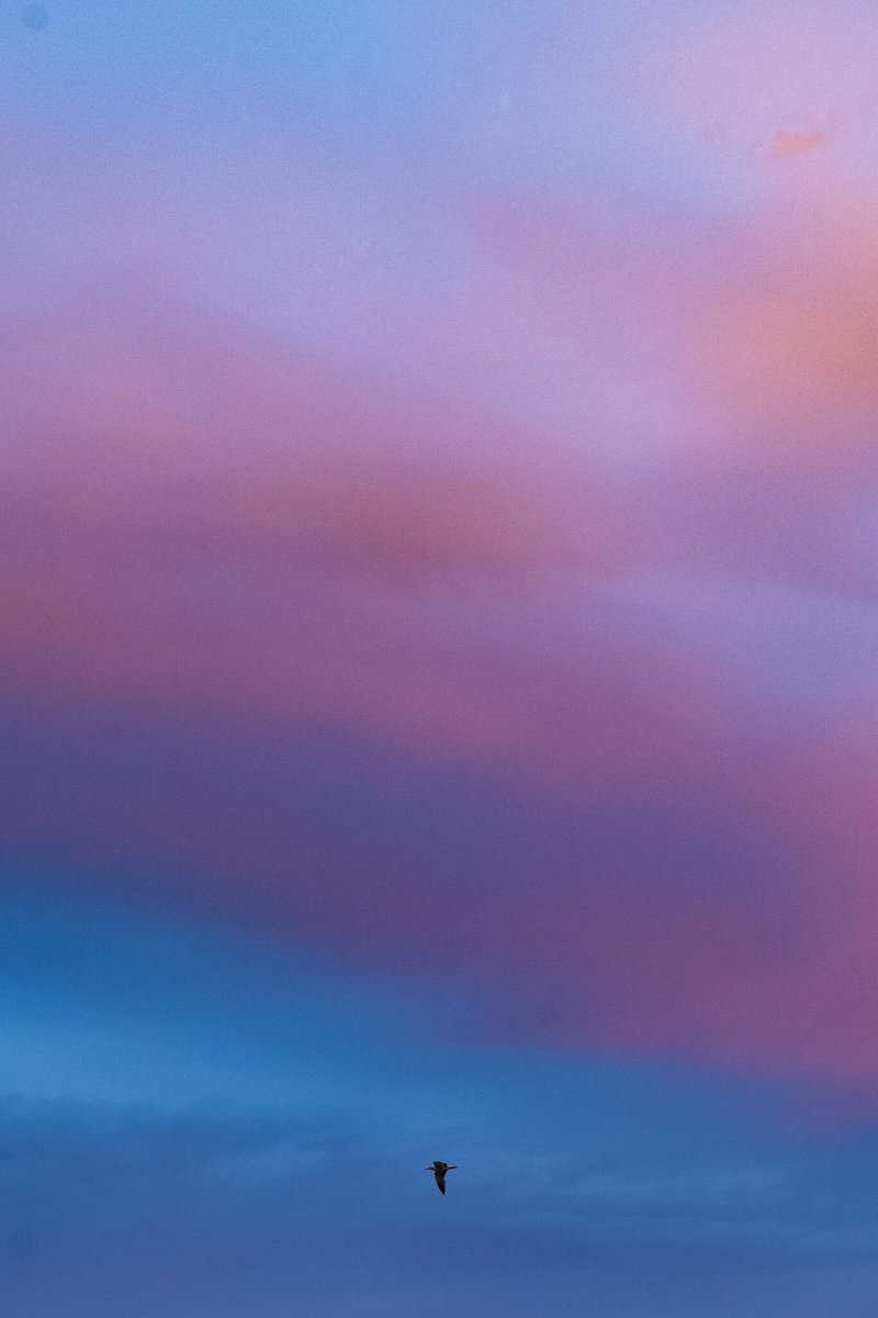 LSK_Photowalk's tweet photo. M型ライカで距離を測る旅の連載「Mの旅人」、
ランキング急上昇とのこと。
ぜひ。
https://t.co/u3GXQHg2Ue https://t.co/1YRvF2f0wE