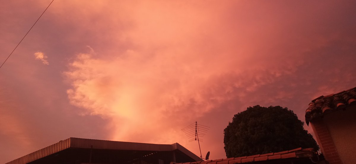 Keydervix's tweet image. Desde San Juan de los Morros un 29/12/2024 a las 6:14 pm...