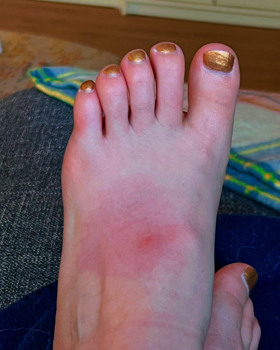 L i t t l e s t tweet media