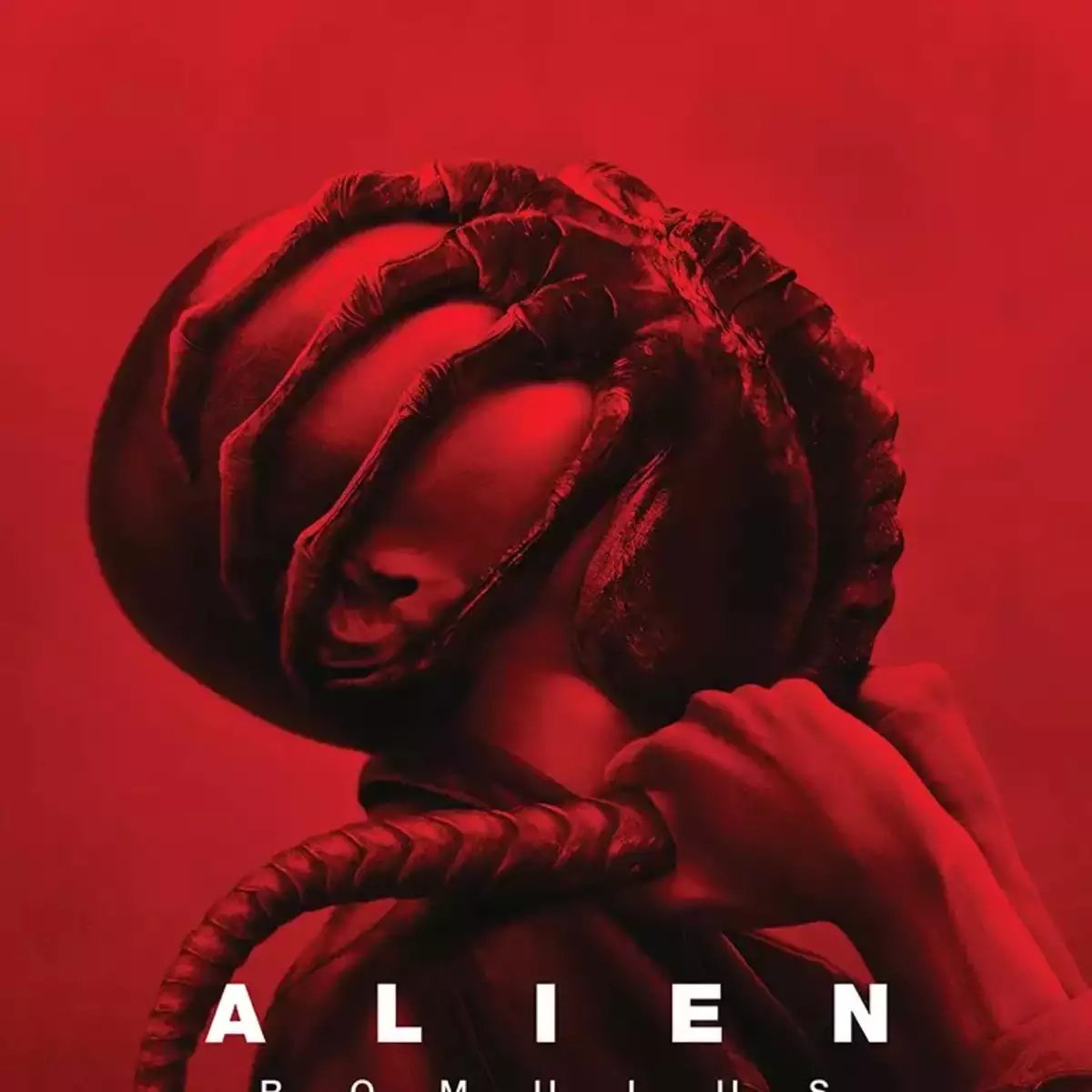 luna17_lovegood's tweet photo. Κοροϊδία😤
4/10 (και είμαι πολύ επιεικής)
#alien_romulus https://t.co/X5csEamqmR