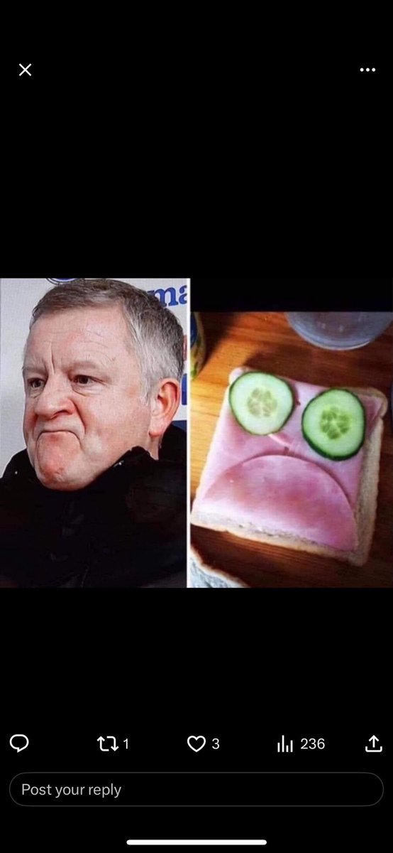 johnrawes's tweet photo. Why do you call Wilder Ham Face they say? https://t.co/TyR5nBnaKF