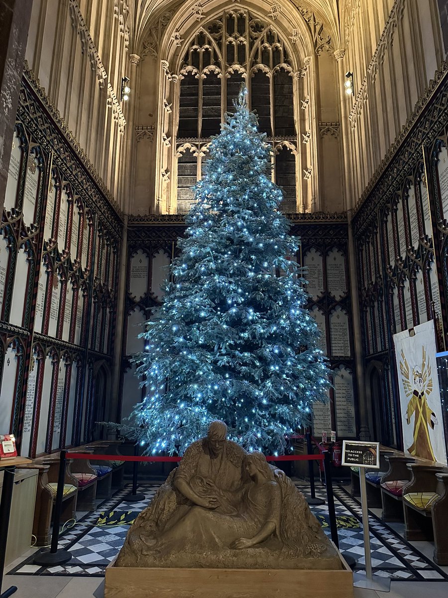 Then they went for their annual Christmas concert at Manchester Cathedral with <a href="/azzurro_azzurro/">Azzurro</a>! 🕍🎶 This time it was a ‘Viennese Christmas’ and Mum thought of <a href="/WichBarbara/">B&S&P, 🌈Frieda, 🌈Mephisto</a> &amp; <a href="/WienElch/">Salem, Harvey & Angel Mini</a> 🇦🇹  It was almost like she was back in Vienna! 😻
