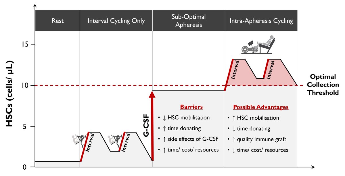 ajwadders's tweet image. Less than 2 weeks left to apply!!!
Fully funded MRC studentship available for 4 years - 'Examining the clinical effectiveness of intra-apheresis cycling for peripheral blood stem cell donations'.
Please share or get in touch if you're interested:
findaphd.com/phds/project/e…