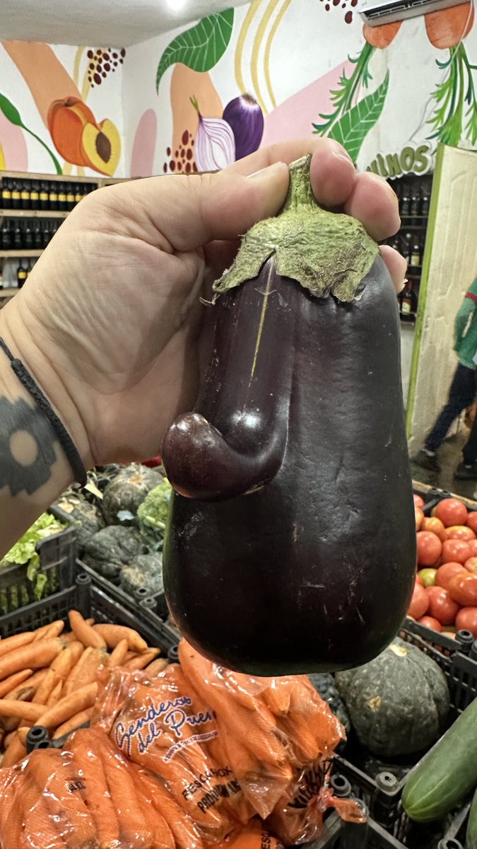 galucocina's tweet photo. Me encontré una berenjena con nariz, no sé si comerla o adoptarla https://t.co/iCMsTOHOpS