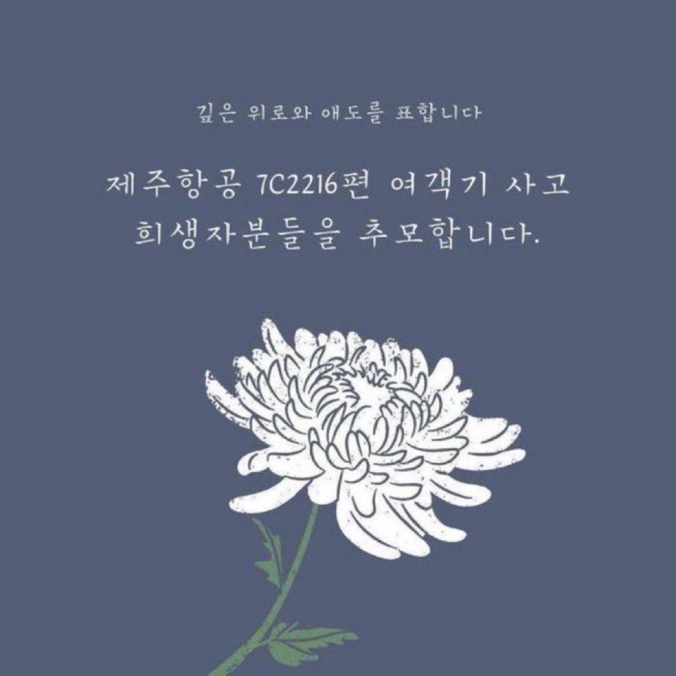 mikachwe 🌸🩵🩷 tweet media