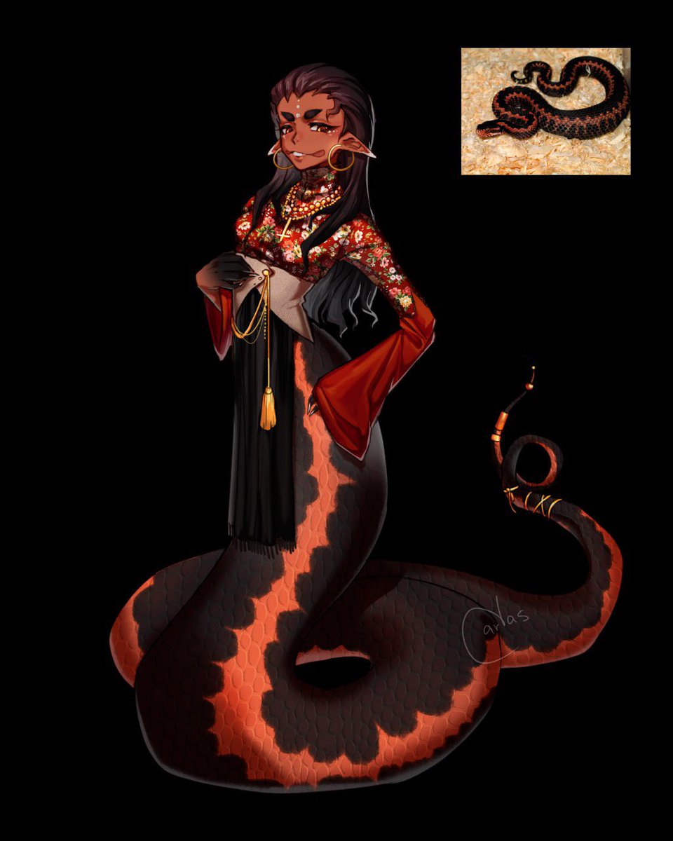 Happy new snake year 🐍