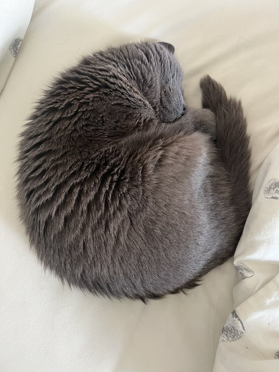 “… to better understand the forces shaping the Martian surface…”

It’s a cat, NASA.
You’re looking at a cat. 
It’s really not the mystery you’re making it out to be.
Here’s a cat for reference.