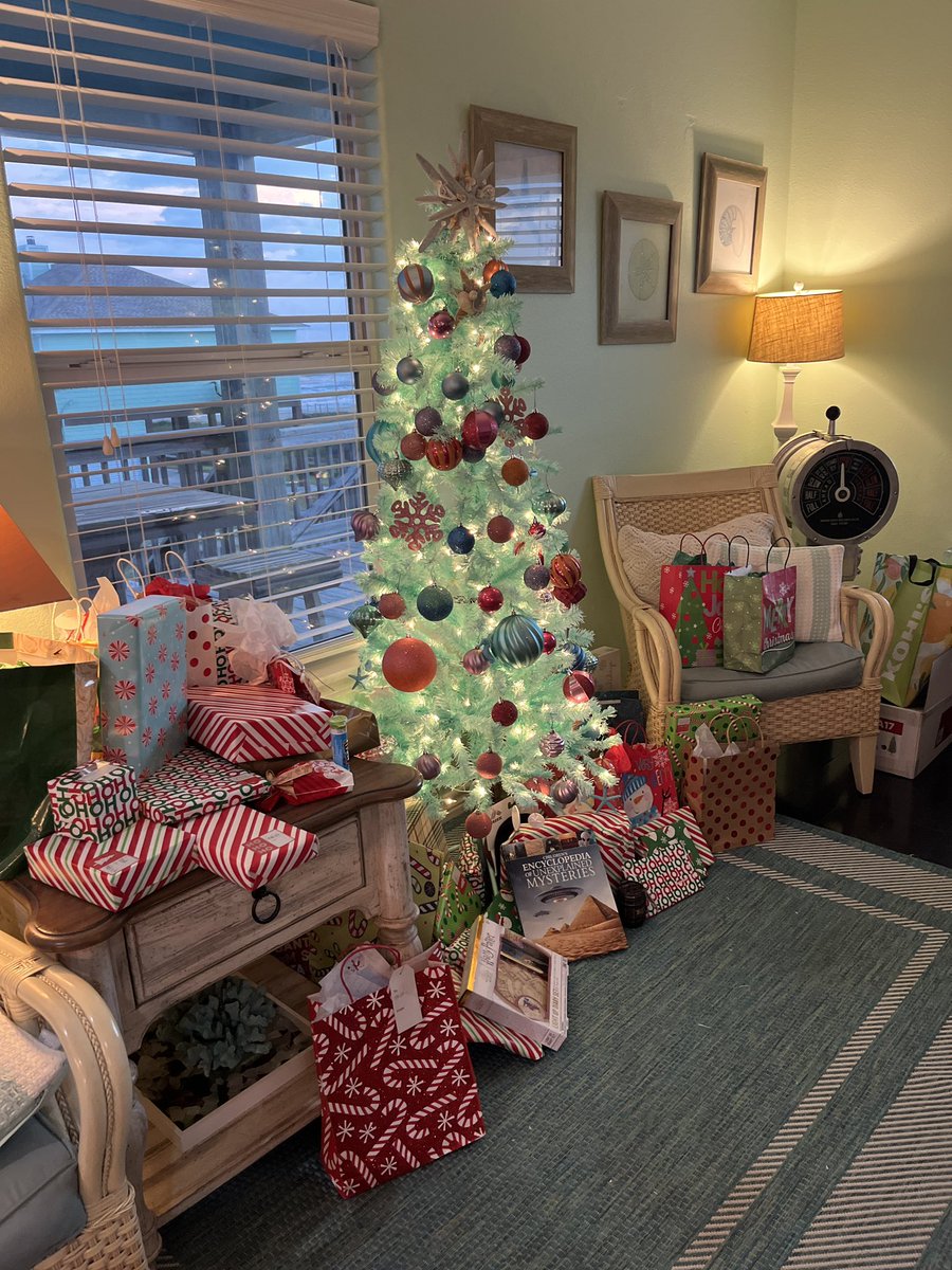 I more than doubled the number of 🎄in my house this year, including our beach-themed tree for our Christmas on Bolivar peninsula…successful holiday season.

#PathTwitter #pathx #dontjudgetheornamentplacement
#kidsaresohelpful