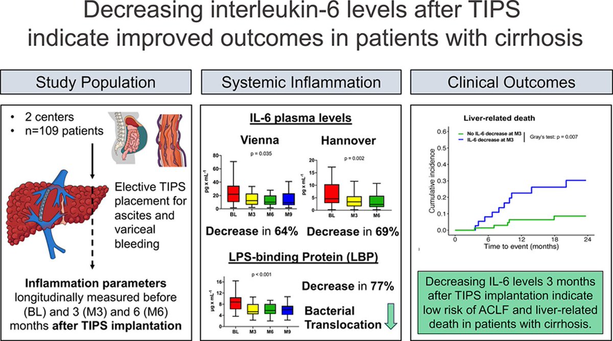 Thomas Reiberger (@reibergerthomas) on Twitter photo Dr. <a href="/hartl_md/">Lukas Hartl</a> in coop with <a href="/b_maasoumy/">Benjamin Maasoumy</a>
#TIPS often decreases systemic 🔥inflammation (#IL6) in #cirrhosis and this is associated with improved outcomes 😃🏥
<a href="/Maasoumy_lab/">Maasoumy_liverlab</a> <a href="/ViennaLiverNews/">Vienna Liver News</a> <a href="/MedUni_Wien/">MedUni Wien</a>
🔗to 📕study <a href="/JHEP_Reports/">JHEP Reports</a>
sciencedirect.com/science/articl… Dr. <a href="/hartl_md/">Lukas Hartl</a> in coop with <a href="/b_maasoumy/">Benjamin Maasoumy</a>
#TIPS often decreases systemic 🔥inflammation (#IL6) in #cirrhosis and this is associated with improved outcomes 😃🏥
<a href="/Maasoumy_lab/">Maasoumy_liverlab</a> <a href="/ViennaLiverNews/">Vienna Liver News</a> <a href="/MedUni_Wien/">MedUni Wien</a>
🔗to 📕study <a href="/JHEP_Reports/">JHEP Reports</a>
sciencedirect.com/science/articl…