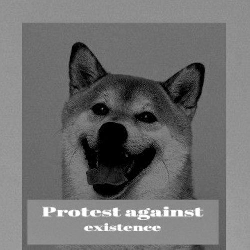RyuzakiWolf's tweet photo. https://t.co/sd4KaR1q0D