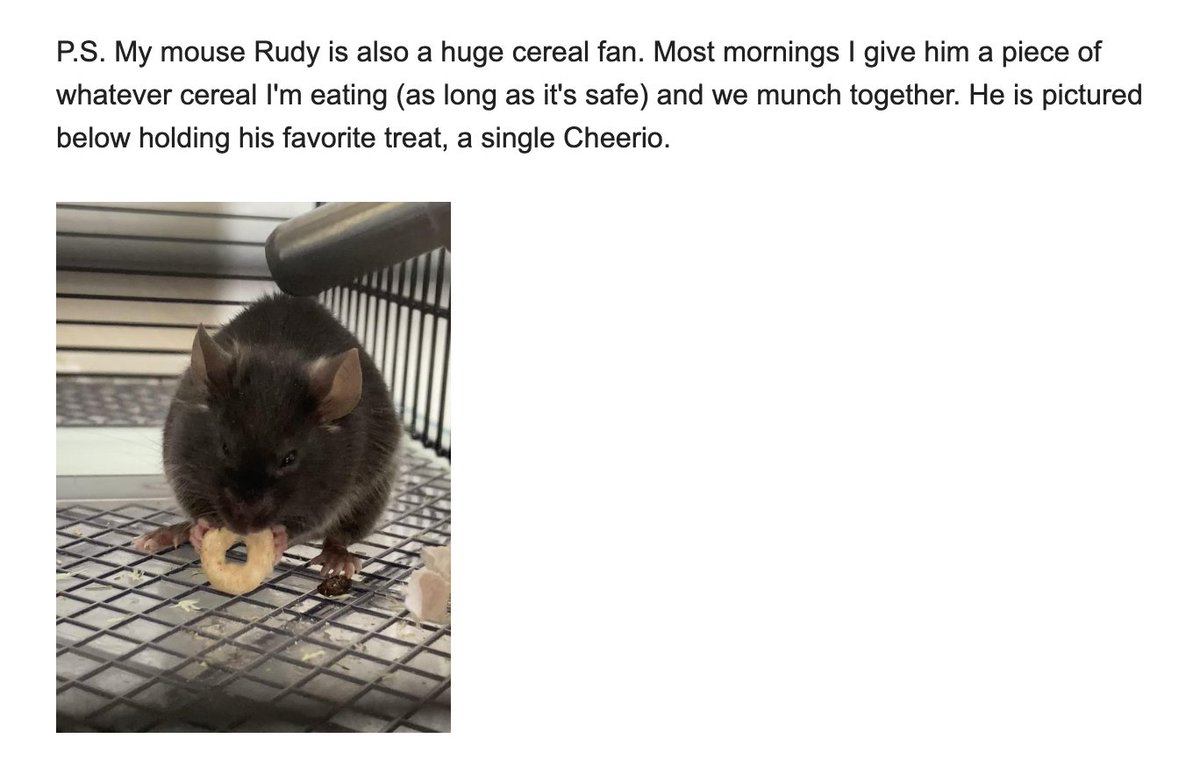 Everything we do, we do for Rudy.