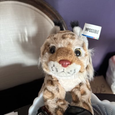 #NewProfilePic