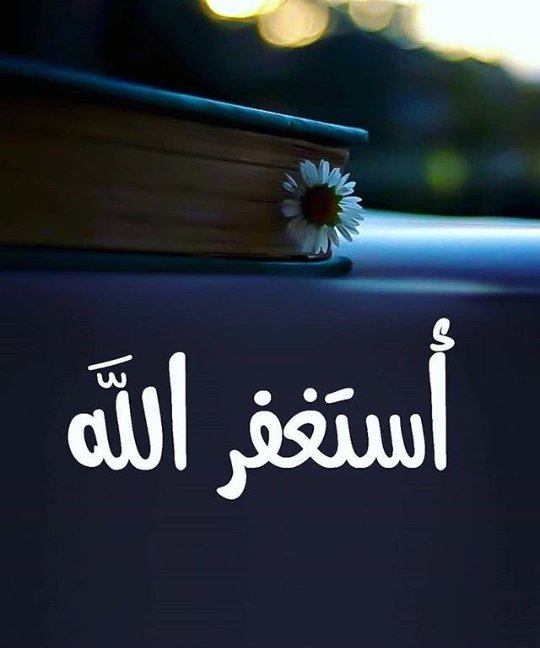 جنوبي حر اليافعي 3 tweet media