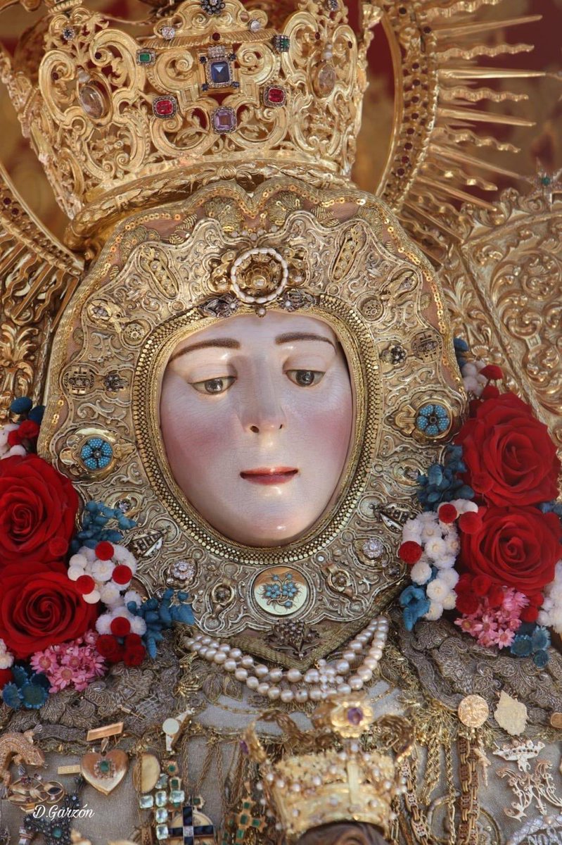 Francisco Jose tweet media