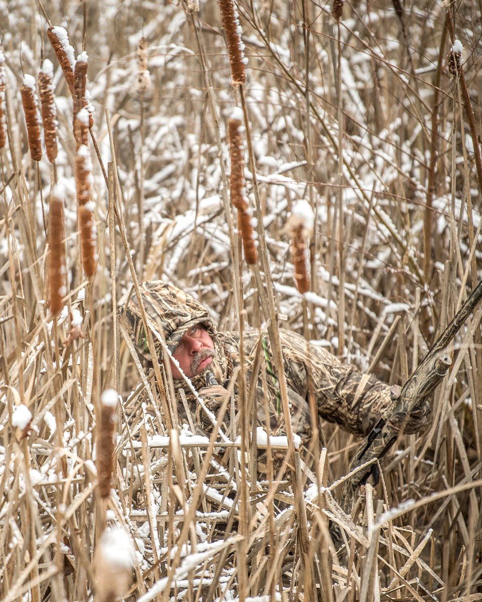 Realtree's tweet photo. In the thick of it.

#Realtree #MAX7 https://t.co/gYRUNmtcNq