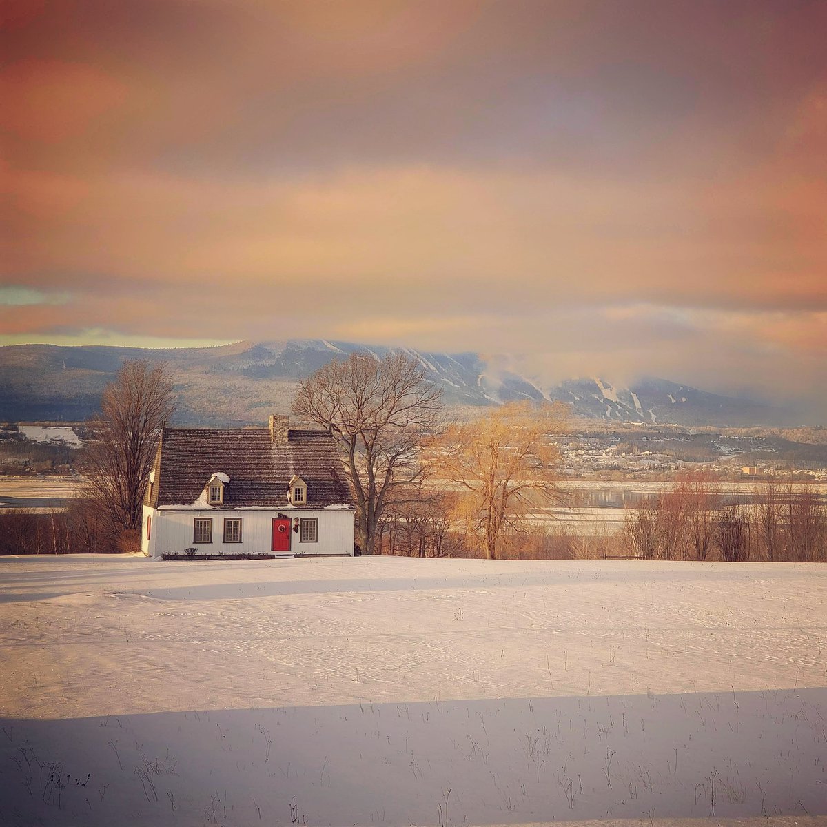 Simon Tremblay tweet media