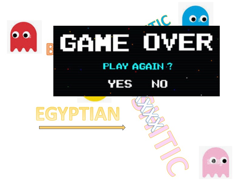 mihalyfy's tweet image. Ancient Egyptian auxiliary verbs had an odd word order, suggesting influence from Cushitic languages.

But was this adult speakers in Lower Egypt, or child speakers in Lower Nubia?

Some more speculations...

#Egyptology #LinguisticsTwitter
…ianhistoricallinguistics.blogspot.com/2024/12/a-youn…