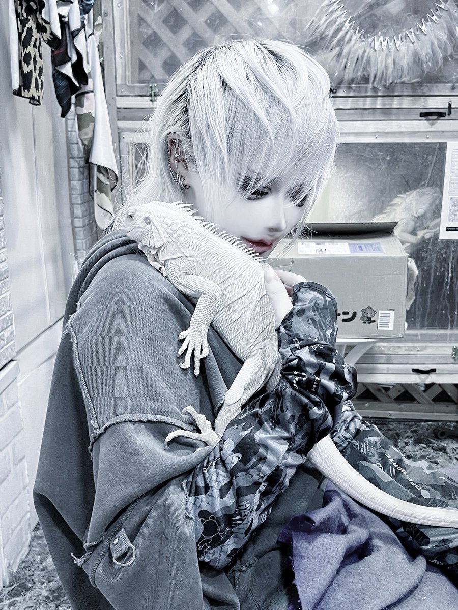 Post by 酔狂【Sanctum:404】 on X: オフすぎるな
