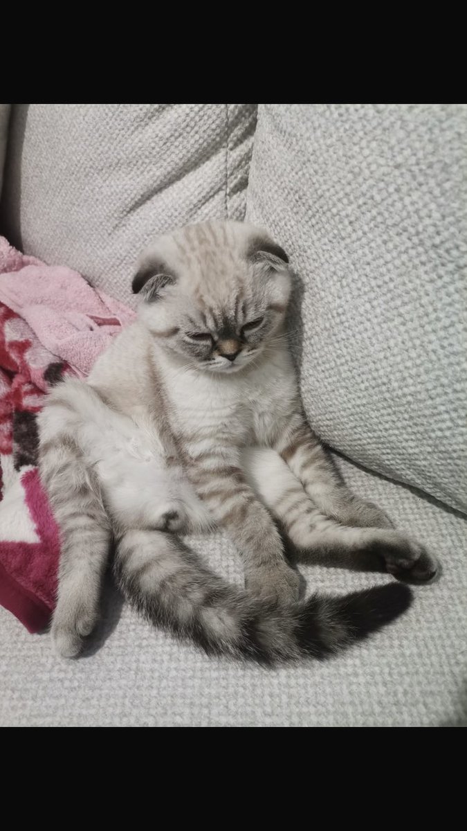 sanki tas tasidin ne oldu bu boyle