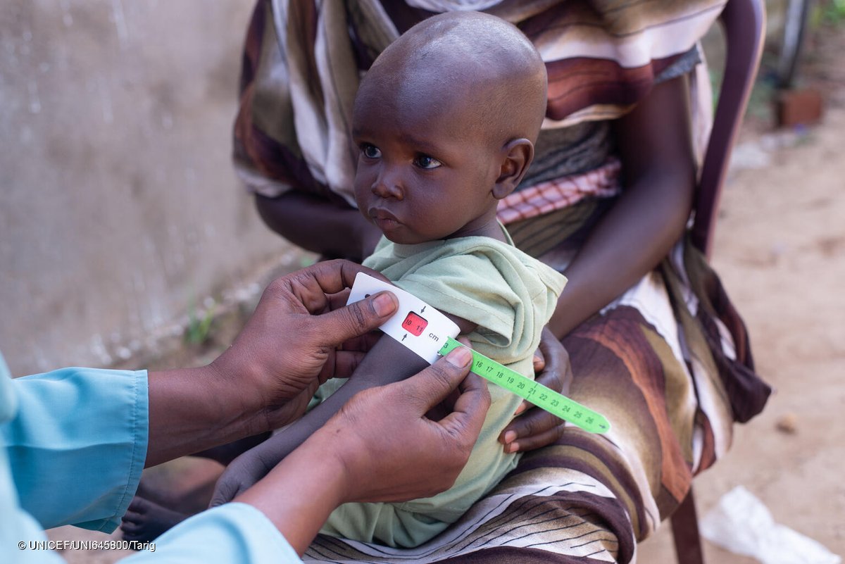 UNICEF's tweet image. Insecurity
Flooding
Inaccessible roads

Despite challenges, UNICEF and partners are working to screen children in Sudan for malnutrition and provide them with essential nutritional treatments.