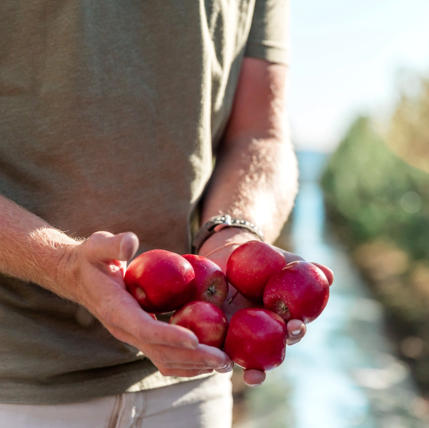 Don't let their size fool you - Rockit™ apples are packed to the brim with sweet, crisp, and tasty flavor!⚡ #SnackSizeApple #RockitApple #ReadySetRockit