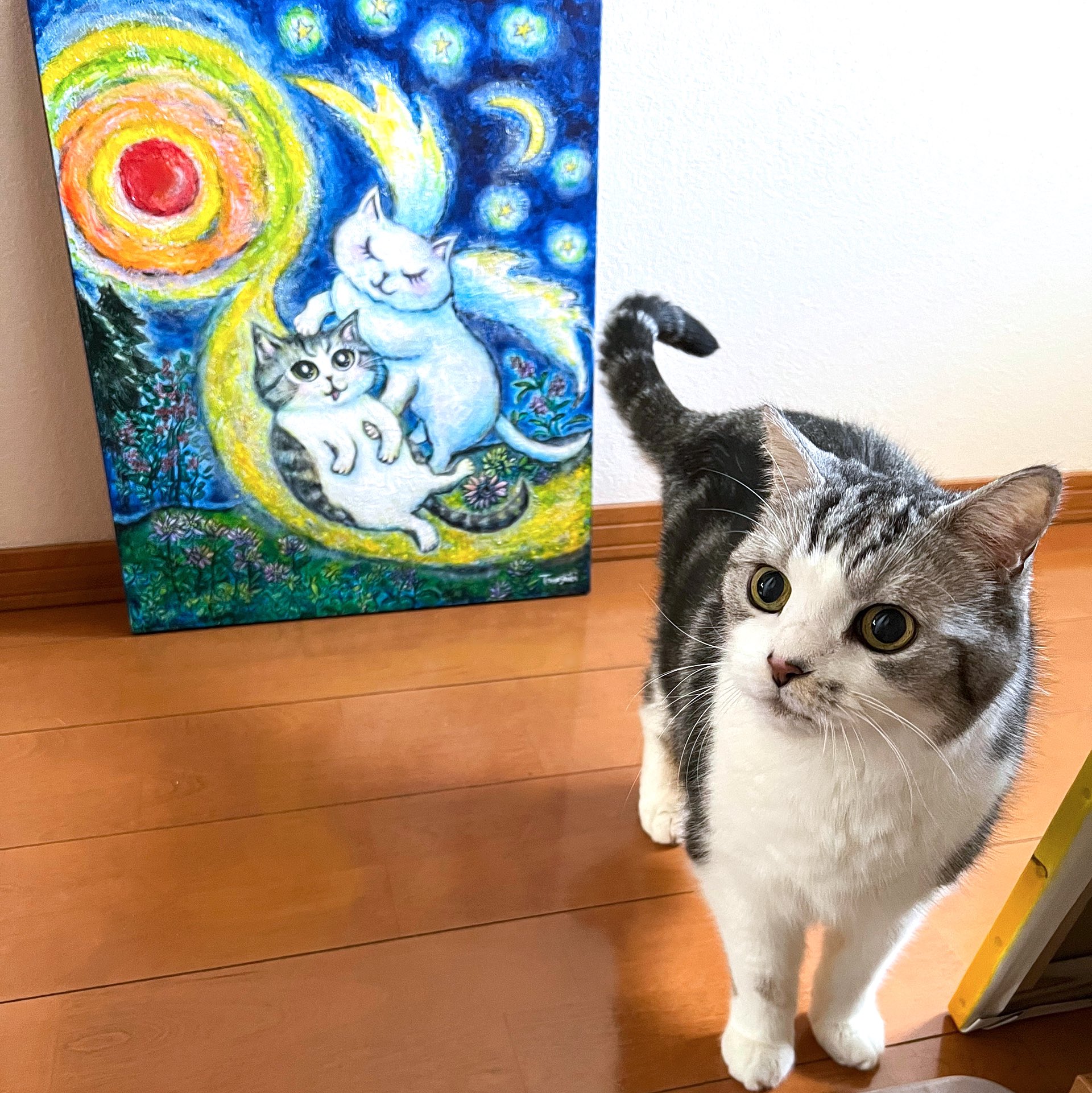 Tomoshibi (@Tomoshibi_Cat) / X