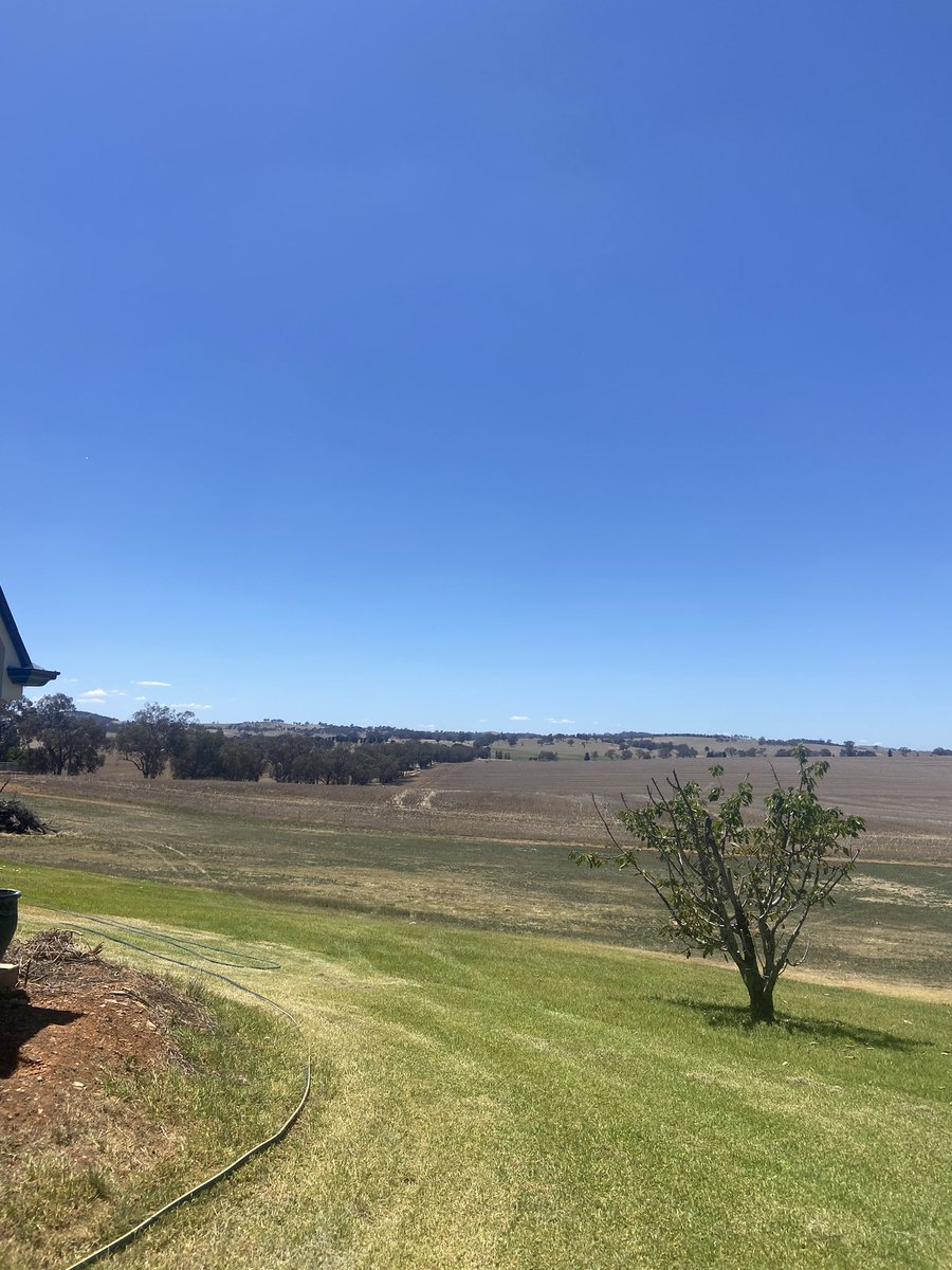 lifeoflig's tweet photo. Imagine Ryze eqing all that farm!! https://t.co/dT5FaSDjFQ