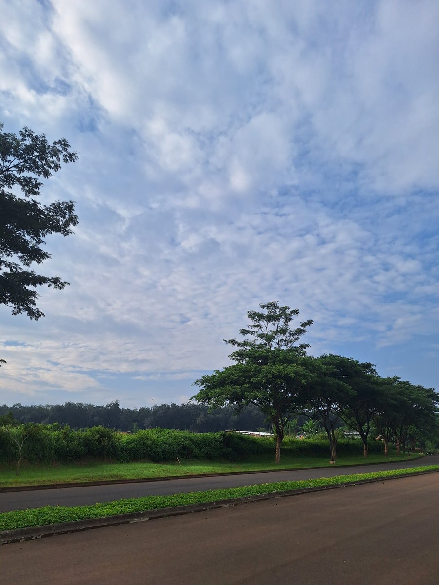 nanads🦕 tweet media