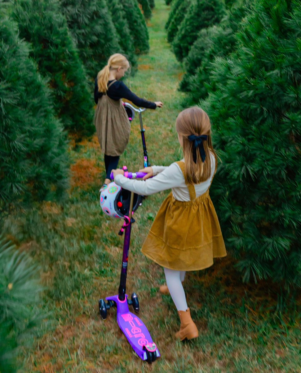 MicroKickboard's tweet image. Adventure awaits...🛴